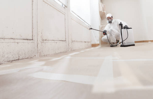 24/7 Emergency Attic Mold Remediation experts in Deal, NJ