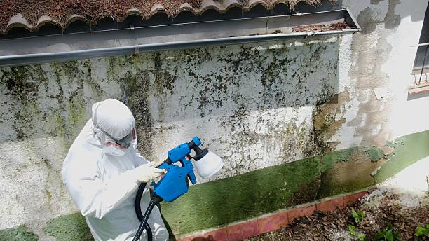 Top rated local Attic Mold Remediation specialists in Deal, NJ